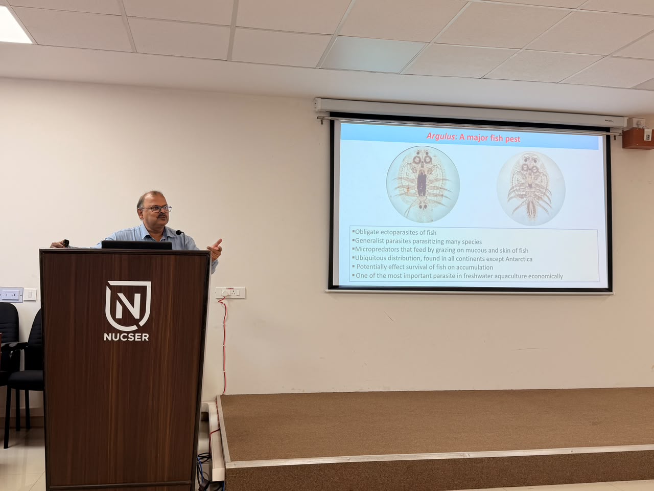 First slide